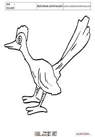 roadrunner boyama sayfaları